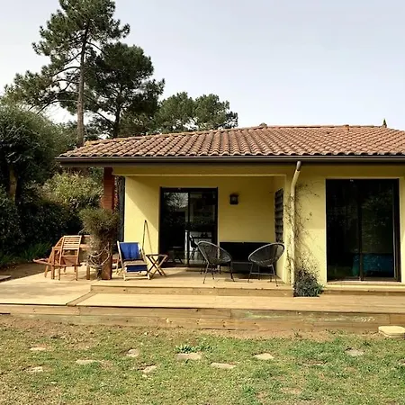 Patio A 800 M De La Apartment