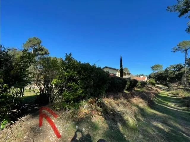 Apartment Patio A 800 M De La